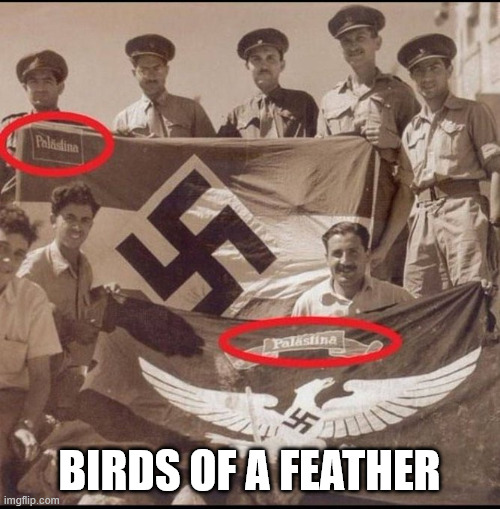 birds of a feather | made w/ Imgflip meme maker