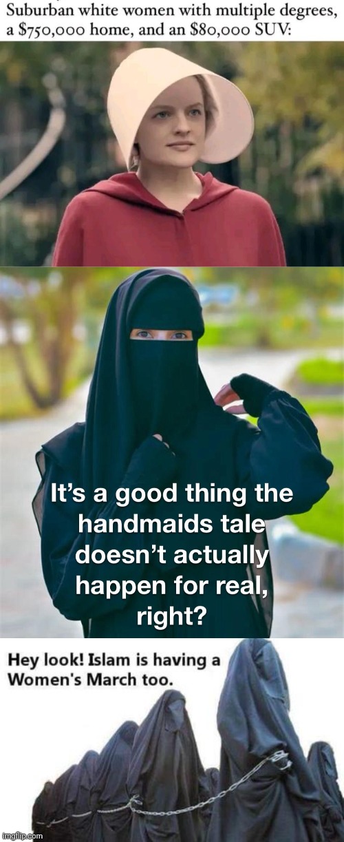 The Handmaid's Hijab | image tagged in hand,maid,insanity | made w/ Imgflip meme maker