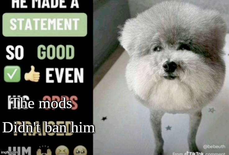 He made a statement so good even his opps praised him | The mods Didn't ban him | image tagged in he made a statement so good even his opps praised him | made w/ Imgflip meme maker