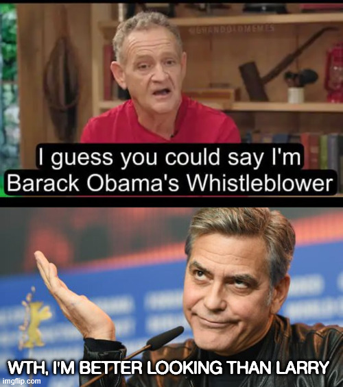 WTH, I'm better looking than LArry | made w/ Imgflip meme maker