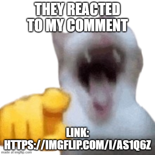 I'm laughing https://imgflip.com/i/as1q6z | THEY REACTED TO MY COMMENT; Link: https://imgflip.com/i/as1q6z | image tagged in laughing cat | made w/ Imgflip meme maker