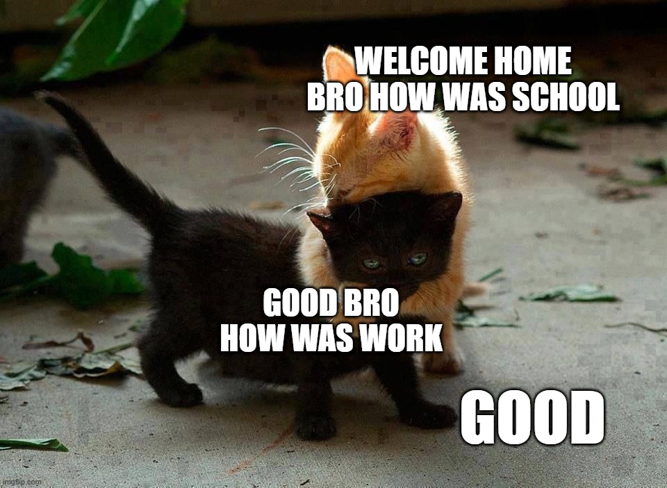 Bro Kittens | welcome home bro how was school; good bro how was work; good | image tagged in kitten hug | made w/ Imgflip meme maker