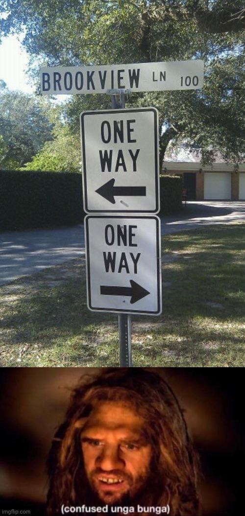 One way, one way | image tagged in confused unga bunga,one way,memes,street signs,street sign,you had one job | made w/ Imgflip meme maker