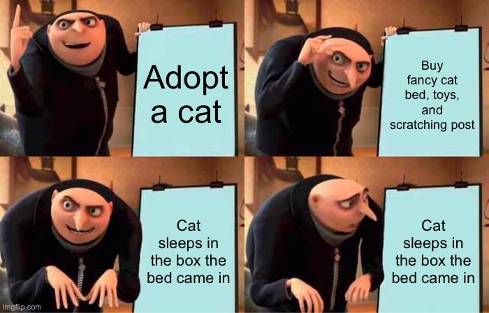 Cat moment | Adopt a cat; Buy fancy cat bed, toys, and scratching post; Cat sleeps in the box the bed came in; Cat sleeps in the box the bed came in | image tagged in memes,gru's plan,cats,funny,pets,animals | made w/ Imgflip meme maker