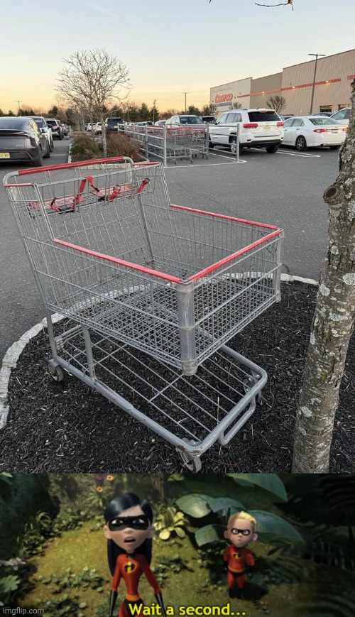 Shopping carts | image tagged in the incredibles violet wait a second,placement fail,shopping carts,shopping cart,you had one job,memes | made w/ Imgflip meme maker