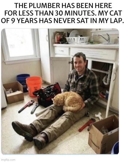 That cat’s a stinker! | The plumber has been here for less than 30 minutes. My cat of 9 years has never sat in my lap. | image tagged in cats,plumber,sitting in lap,never before,stinker,tabby cat | made w/ Imgflip meme maker