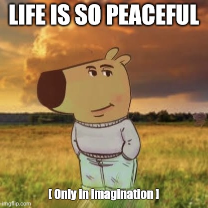 Chill guy | Life is so peaceful; [ Only in imagination ] | image tagged in chill guy | made w/ Imgflip meme maker