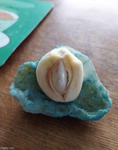Garlic being born? | image tagged in img_4048 jpeg,garlic,cursed,birth | made w/ Imgflip meme maker