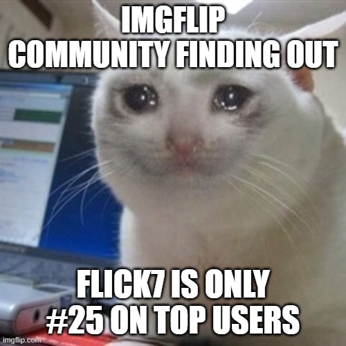 I expected it to be even higher | IMGFLIP COMMUNITY FINDING OUT; FLICK7 IS ONLY #25 ON TOP USERS | image tagged in memes,crying cat,imgflip,top users,flick7,cats | made w/ Imgflip meme maker