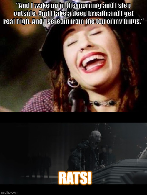 4 Rabban Blondes | "And I wake up in the morning and I step outside. And I take a deep breath and I get real high. And I scream from the top of my lungs."; Rats! | image tagged in what's going on,dune | made w/ Imgflip meme maker