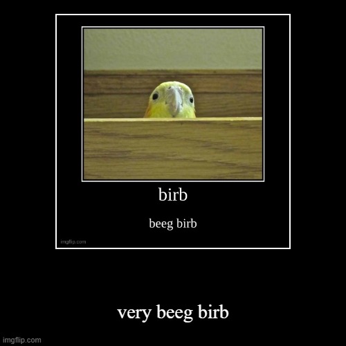 very beeg birb | image tagged in funny,demotivationals | made w/ Imgflip demotivational maker