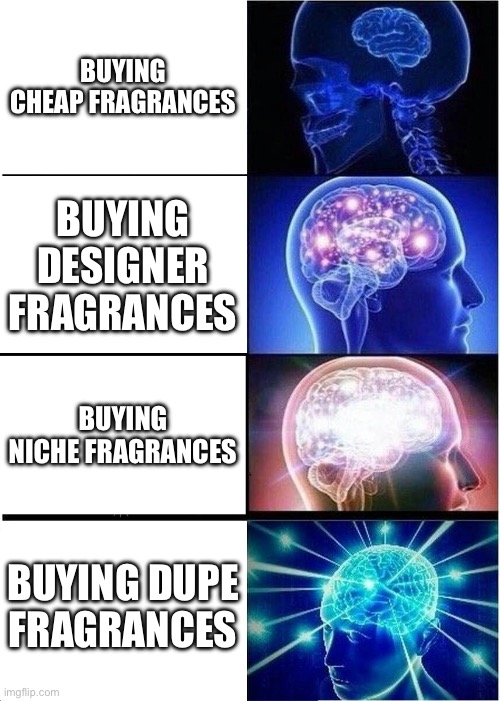 Fragrance memes | Buying cheap fragrances; Buying designer fragrances; Buying niche fragrances; Buying dupe fragrances | image tagged in memes,expanding brain,fragrances | made w/ Imgflip meme maker