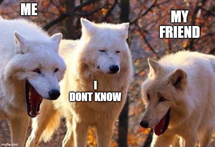 me i dont know my friend | image tagged in laughing wolf | made w/ Imgflip meme maker
