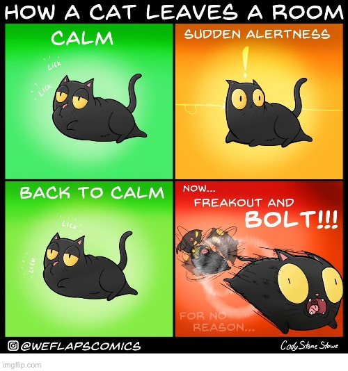 WeFlaps | image tagged in cats,comics,weflaps,coral,calm,freakout | made w/ Imgflip meme maker