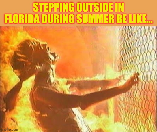 Terminator Fence | Stepping outside in Florida during summer be like... | image tagged in terminator fence | made w/ Imgflip meme maker