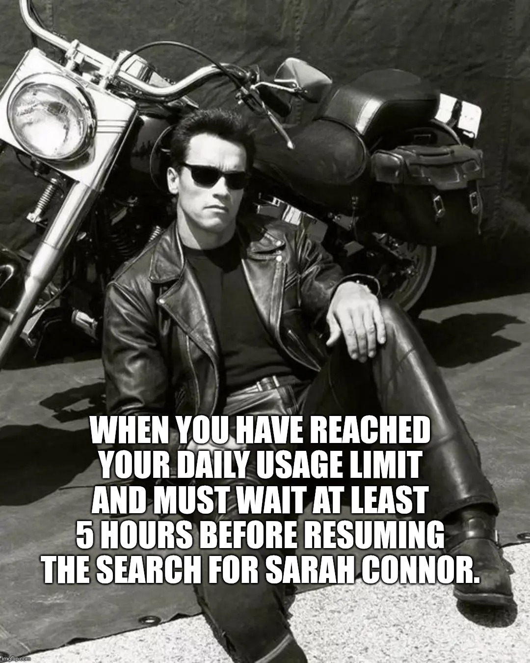 Human vs Terminator | When you have reached your daily usage limit and must wait at least 5 hours before resuming the search for Sarah Connor. | image tagged in artificial intelligence,humanity,terminator 2 | made w/ Imgflip meme maker