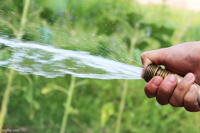 Garden Hose Bidet toilet paper | image tagged in garden hose bidet toilet paper | made w/ Imgflip meme maker
