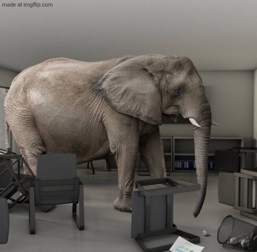 Elephant in the room | image tagged in elephant in the room | made w/ Imgflip meme maker