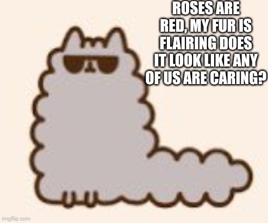 Cool Stormy-Pusheen | Roses are red, my fur is flairing does It look like any of us are caring? | image tagged in cool stormy-pusheen | made w/ Imgflip meme maker