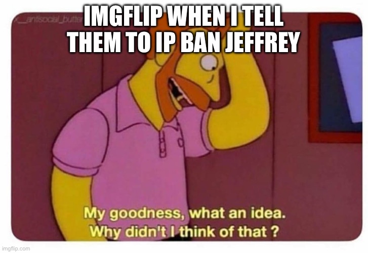 Why Didnt I Think Of That? | Imgflip when I tell them to ip ban Jeffrey | image tagged in why didnt i think of that | made w/ Imgflip meme maker