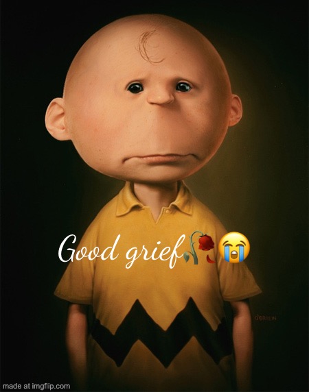 Untooned Charlie Brown | Good grief?? | image tagged in untooned charlie brown | made w/ Imgflip meme maker