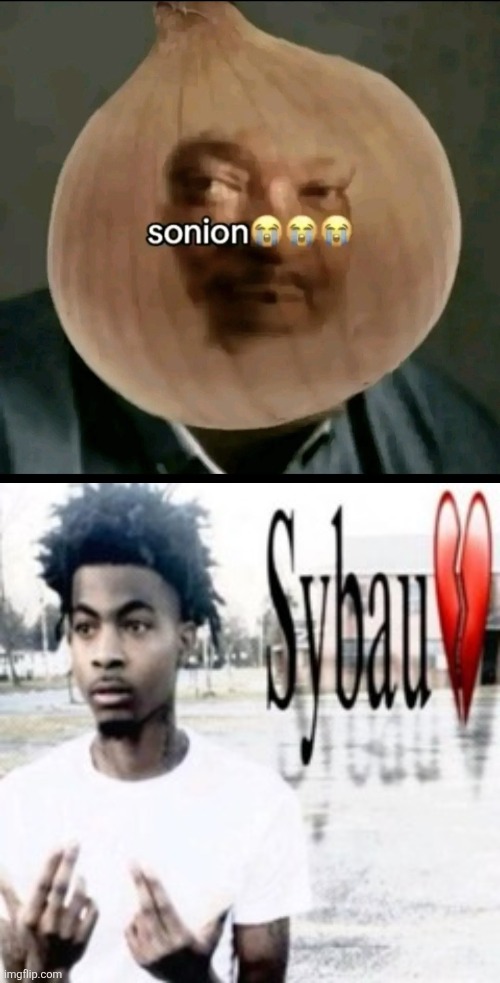 image tagged in sonion,sybau | made w/ Imgflip meme maker