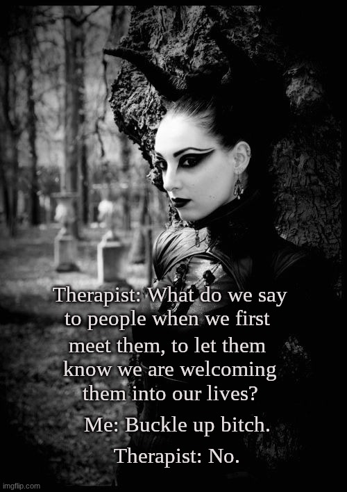 Buckle up bitch | Therapist: What do we say to people when we first; meet them, to let them 
know we are welcoming; them into our lives? Therapist: No. Me: Buckle up bitch. | image tagged in _ - 2026-05-18t130426 867 jpeg | made w/ Imgflip meme maker