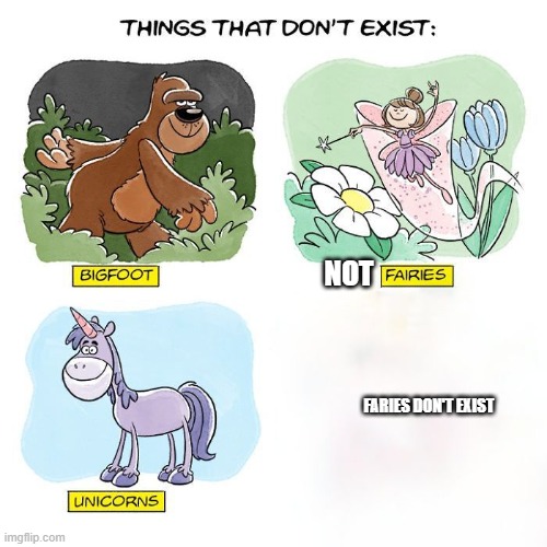 faries exist | not; faries don't exist | image tagged in things that don't exist | made w/ Imgflip meme maker