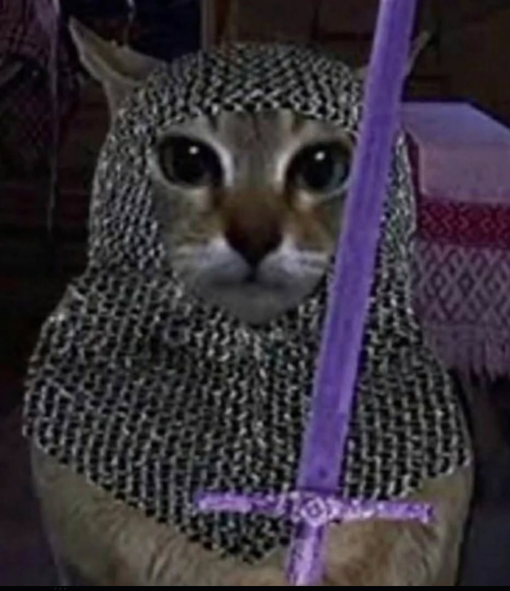 gato templario Blank Meme Template