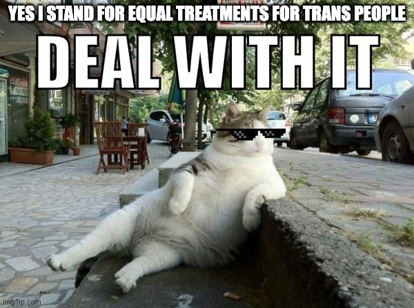 Deal with it cat | Yes i stand for equal treatments for trans people | image tagged in deal with it cat | made w/ Imgflip meme maker