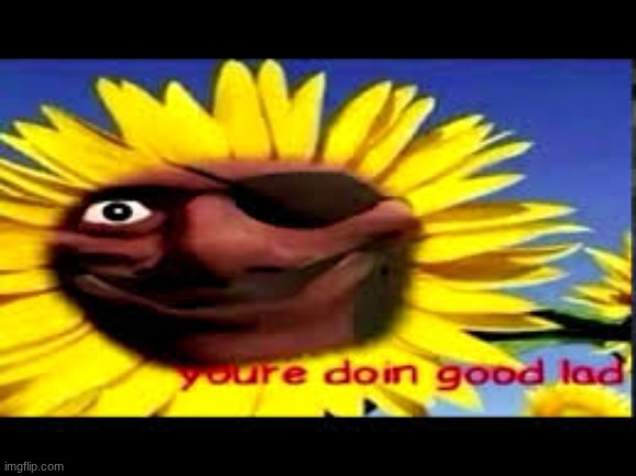 youre doin good lad | image tagged in youre doin good lad | made w/ Imgflip meme maker
