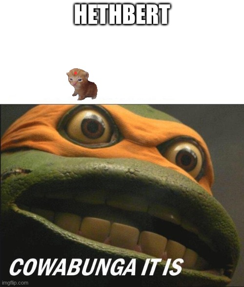 Cowabunga It Is | hethbert | image tagged in cowabunga it is | made w/ Imgflip meme maker