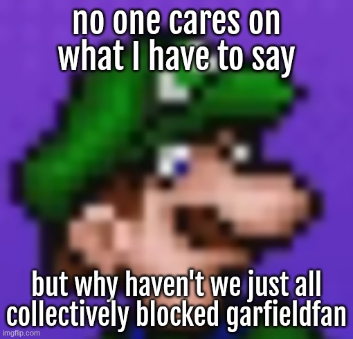 loogi | no one cares on what I have to say; but why haven't we just all collectively blocked garfieldfan | image tagged in loogi | made w/ Imgflip meme maker