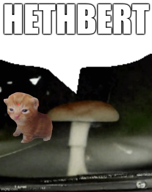 shroom yapping | hethbert | image tagged in shroom yapping | made w/ Imgflip meme maker