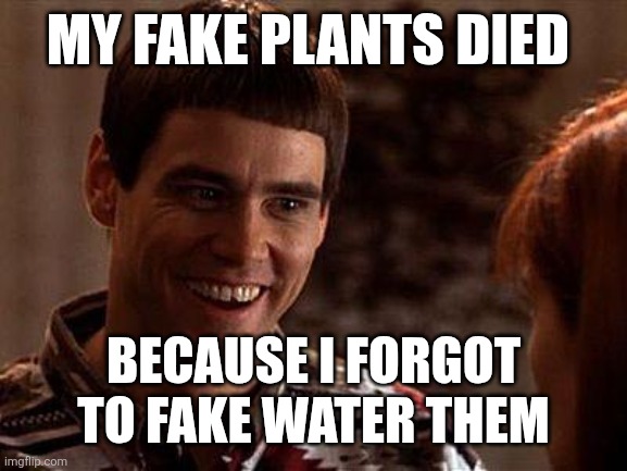 Fake Plants | My fake plants died; Because I forgot to fake water them | image tagged in dumb and dumber,funny memes | made w/ Imgflip meme maker