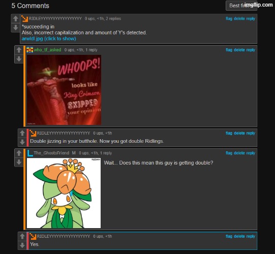 apparently, this guy both mispelled and didn't capitalize RIDLEYYYYYYYYYYYYYYYYY's name. | image tagged in comments | made w/ Imgflip meme maker