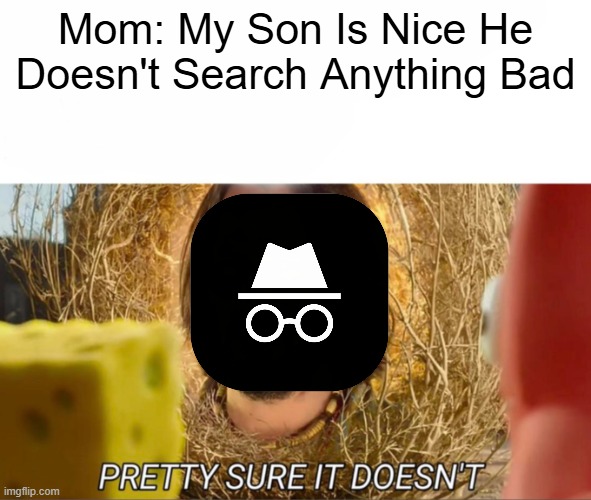 im pretty sure it doesnt | Mom: My Son Is Nice He Doesn't Search Anything Bad | image tagged in im pretty sure it doesnt | made w/ Imgflip meme maker