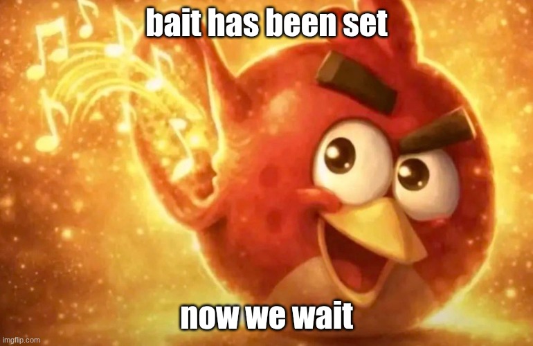 Angry Bird with ear open | bait has been set; now we wait | image tagged in angry bird with ear open | made w/ Imgflip meme maker