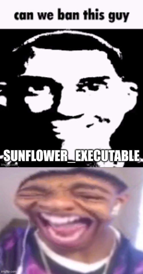 image tagged in flight reacts laughing | made w/ Imgflip meme maker