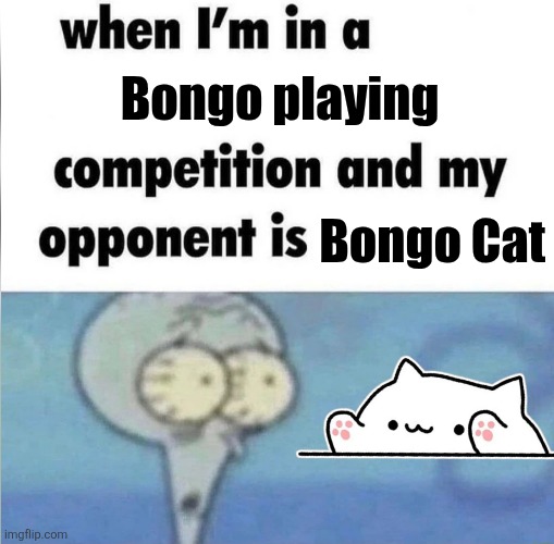 Bongo competition | Bongo playing; Bongo Cat | image tagged in whe i'm in a competition and my opponent is,memes,cats,cat,bongo cat,music | made w/ Imgflip meme maker
