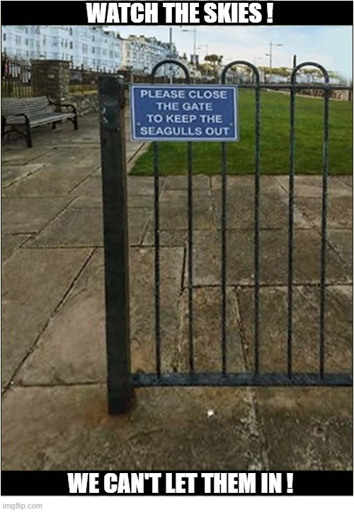Obey The Sign ! | Watch The Skies ! We can't let them in ! | image tagged in funny signs,seagulls,keep out | made w/ Imgflip meme maker