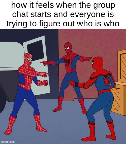 who TF are you?? | how it feels when the group chat starts and everyone is trying to figure out who is who | image tagged in spider man triple,fun,memes | made w/ Imgflip meme maker
