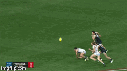image tagged in gifs | made w/ Imgflip video-to-gif maker