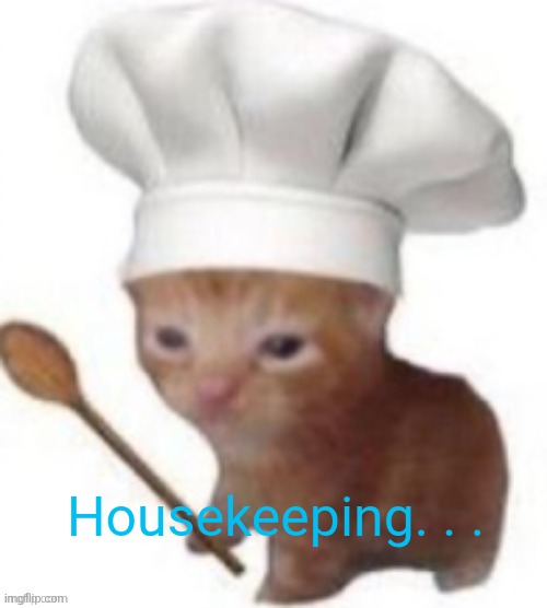 chef cat | Housekeeping. . . | image tagged in chef cat | made w/ Imgflip meme maker