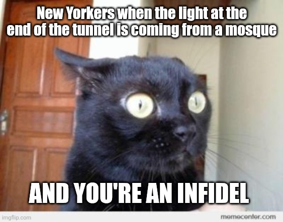 Scared Cat | New Yorkers when the light at the end of the tunnel is coming from a mosque And you're an infidel | image tagged in scared cat | made w/ Imgflip meme maker