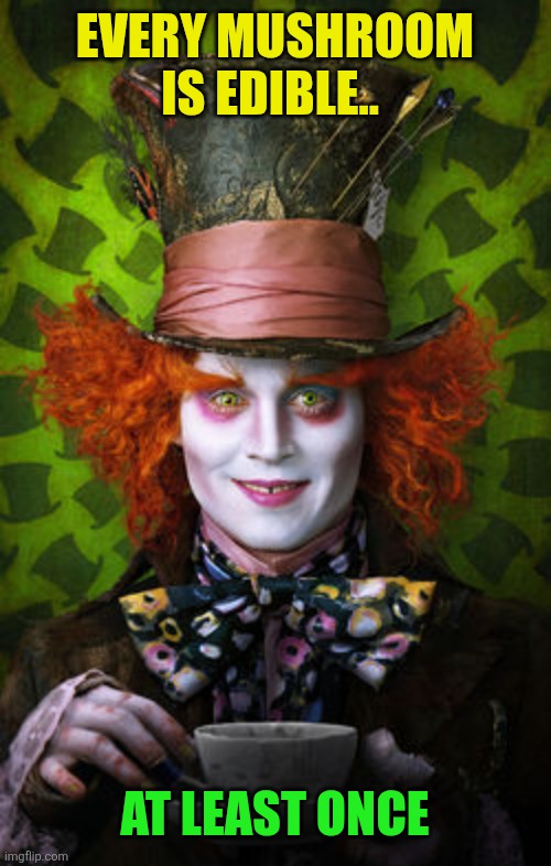 Mad Hatter | Every mushroom is edible.. At least once | image tagged in mad hatter | made w/ Imgflip meme maker