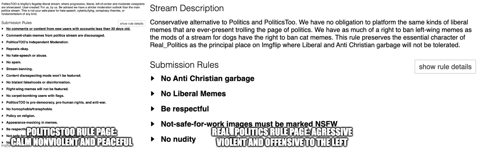 The difference between these two streams just shows how aggressive conservatives are. | Real_politics rule page: agressive violent and offensive to the left; PoliticsToo rule page: calm nonviolent and peaceful | image tagged in politicstoo,realpolitics,comparison | made w/ Imgflip meme maker