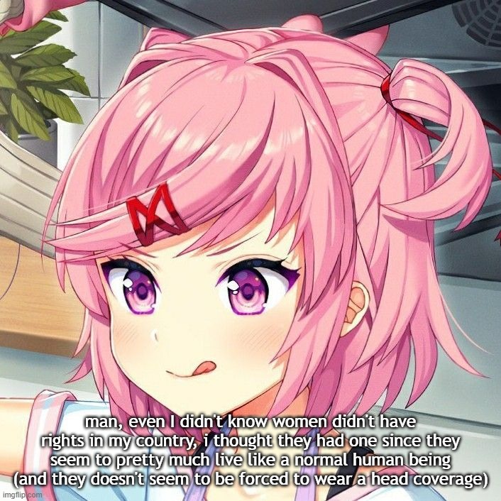 man idk | man, even I didn't know women didn't have rights in my country, i thought they had one since they seem to pretty much live like a normal human being (and they doesn't seem to be forced to wear a head coverage) | image tagged in natsuki | made w/ Imgflip meme maker
