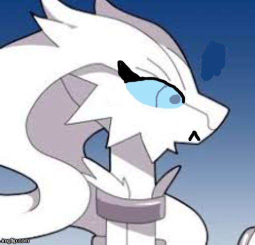Verita the Reshiram cat face | image tagged in verita the reshiram cat face | made w/ Imgflip meme maker