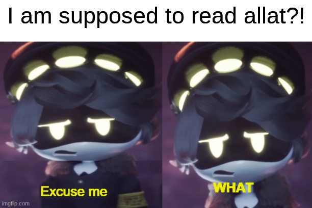I am supposed to read allat?! | image tagged in excuse me what n edition | made w/ Imgflip meme maker